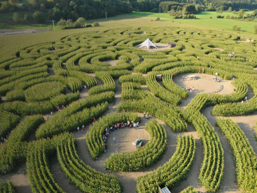 Een luchtfoto van een maïs veld met daarin een doolhof en verschillende activiteiten verstopt in het doolhof.